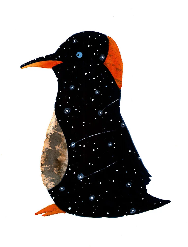 magic penguin - fotokunst von Marta Casals Juanola