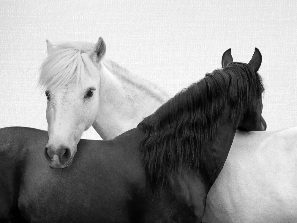 Yin and Yang Horses - fotokunst von Gal Pittel
