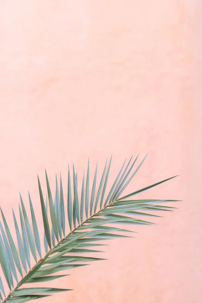 Pink and Palm - fotokunst von Marika Huisman