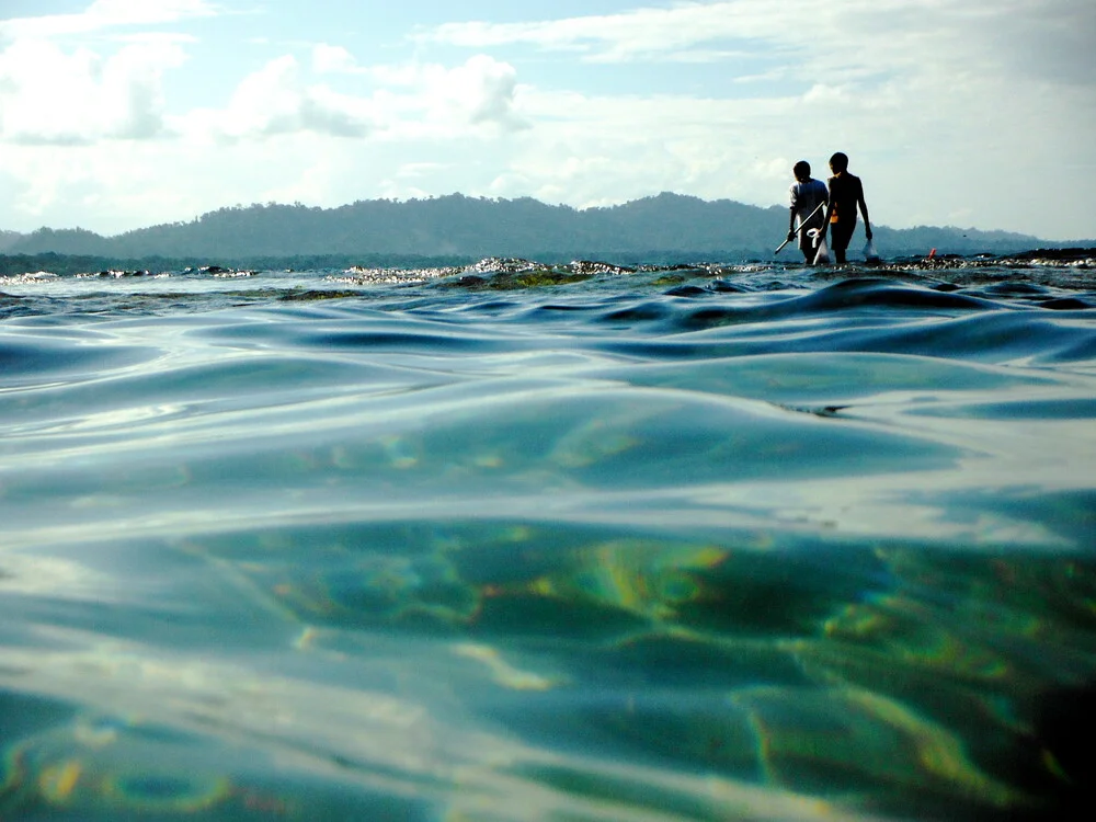 Hunting octopus in Puerto Viejo - fotokunst von Marisa Pettit