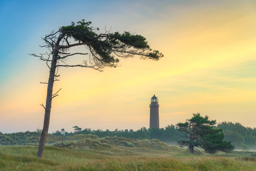 Wind escapers at the Darßer Ort lighthouse - Fineart photography by Michael Valjak