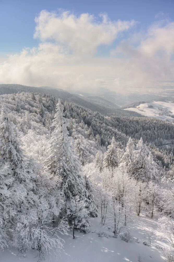 Winter in the Black Forest - Fineart photography by Michael Valjak