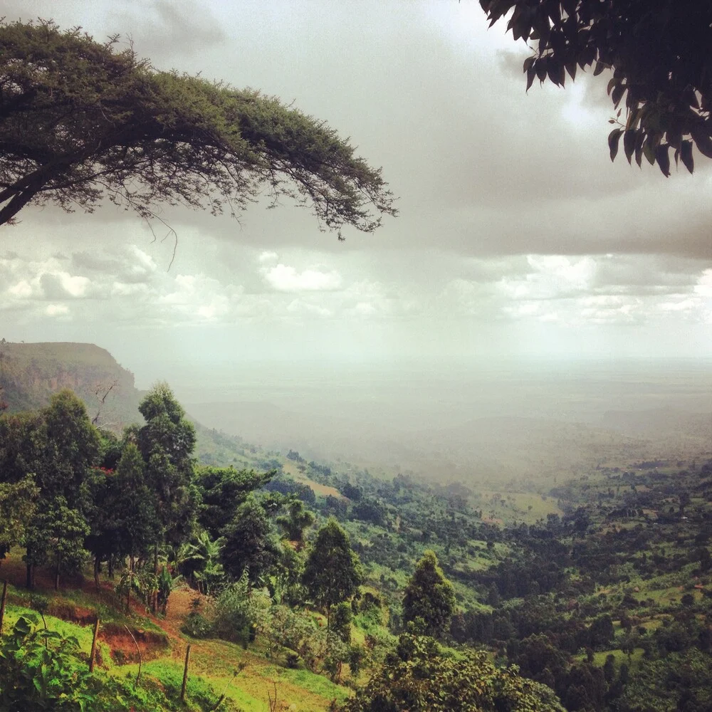 Mount Elgon - fotokunst von Delia Kämmerer