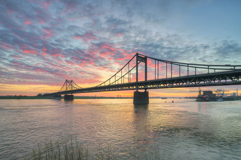 Rhine bridge Krefeld-Uerdingen at sunrise - Fineart photography by Michael Valjak