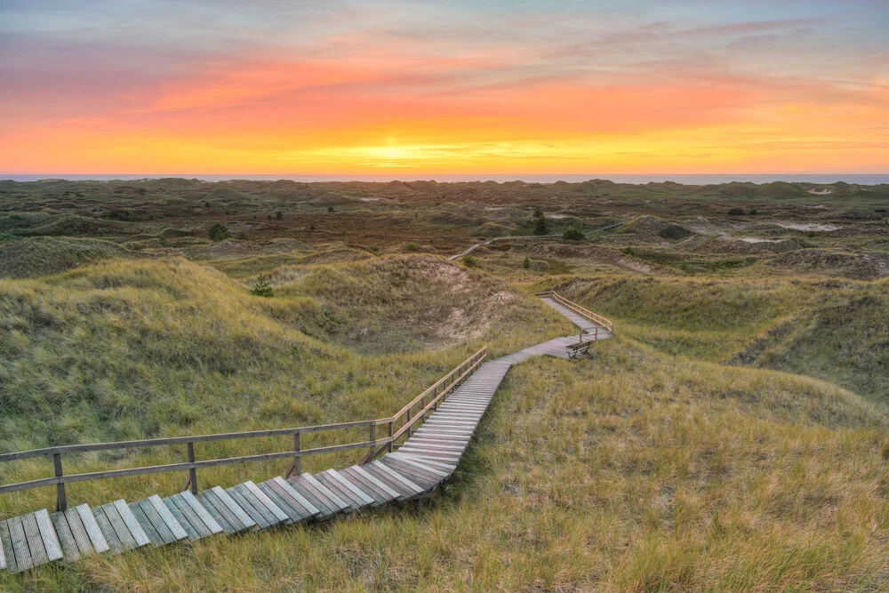 Blick von der Aussichtsdüne A Siatler in Norddorf auf Amrum, Deutschland – Fotokunst von Michael Valjak als Poster oder Acrylglasbild