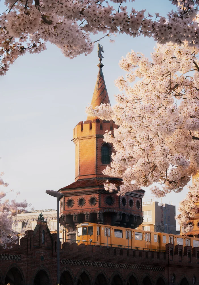 Photo art by Patrick Noack: Oberbaum Bridge surrounded by blooming cherry trees