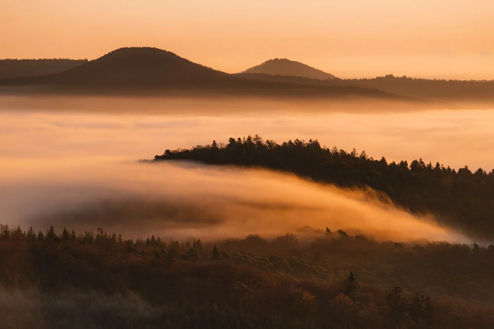The Palatinate Forest slowly wakes up, Germany – wall art by Johannes Hulsch as Poster or Acrylic Glass Print