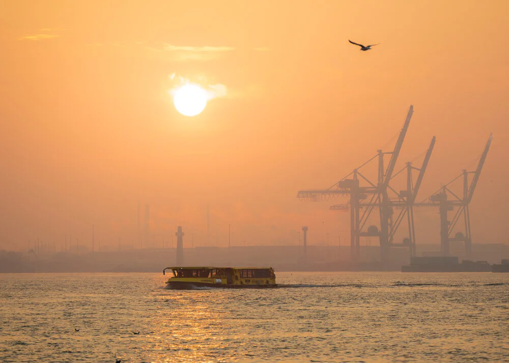 Sonnenaufgang im Hamburger Hafen, Deutschland – Fotokunst von Nils Steiner als Poster oder Acrylglasbild