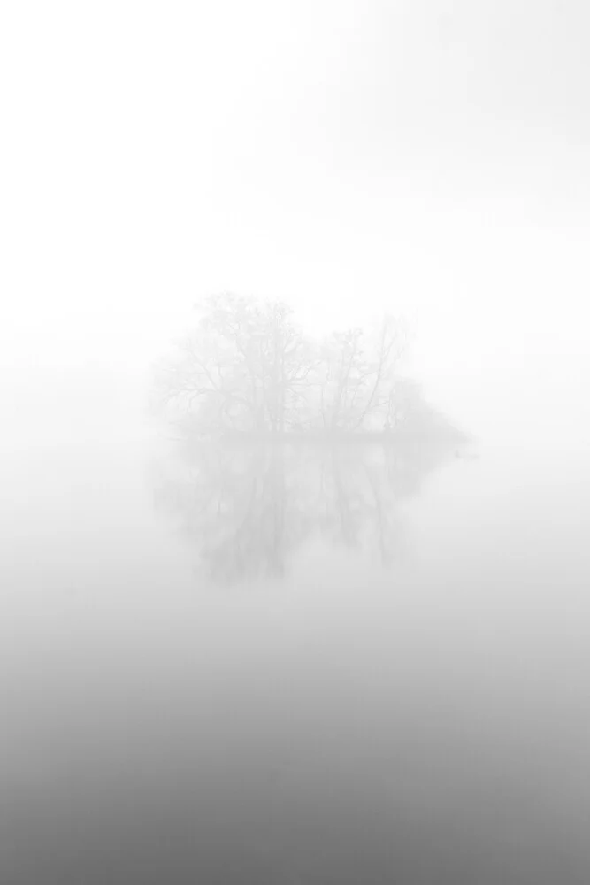 Insel im Nebel, Deutschland – Fotokunst von Nils Steiner als Poster oder Acrylglasbild