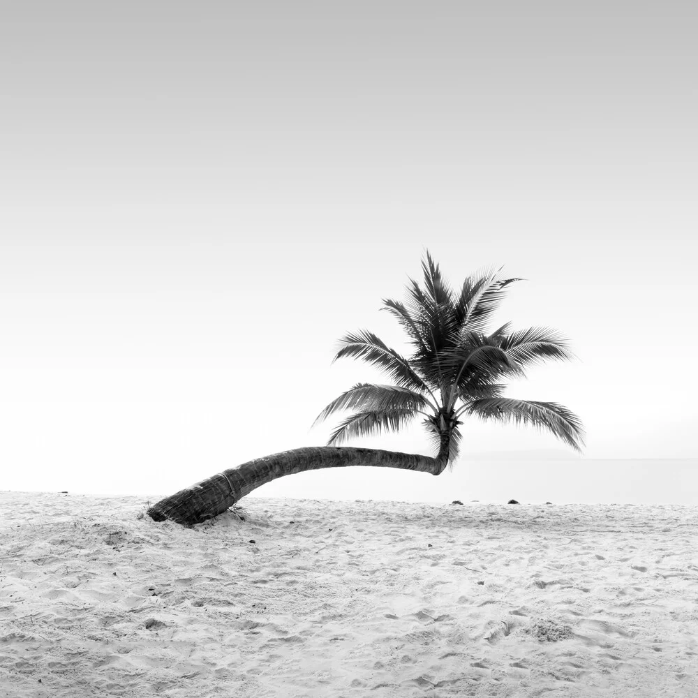 Photo art by Christian Janik: vibrant banana in a tropical setting