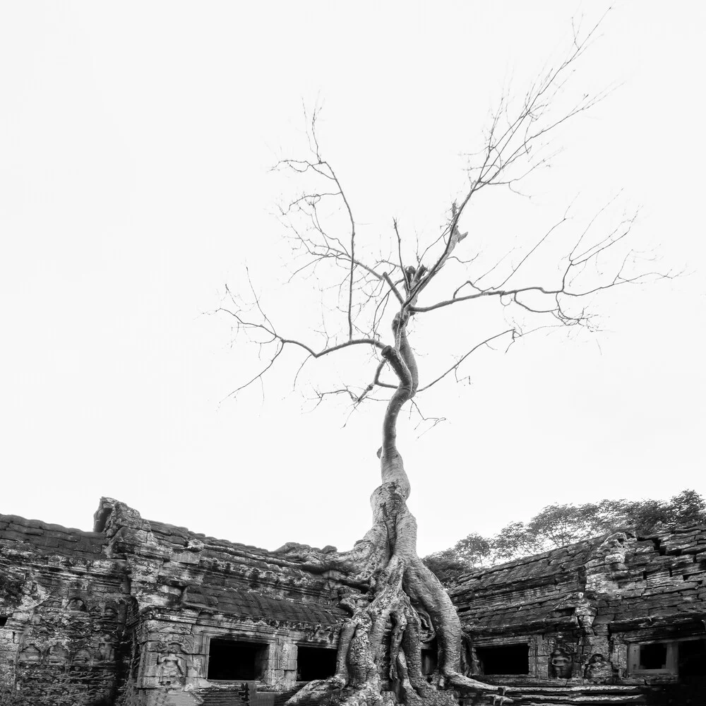 Fotokunst von Christian Janik: Tempel in Kambodscha, umgeben von grünem Baum.