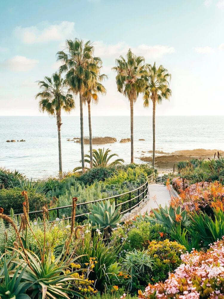 Beachside Bloom, United States – wall art by Gal Pittel as Poster or Acrylic Glass Print