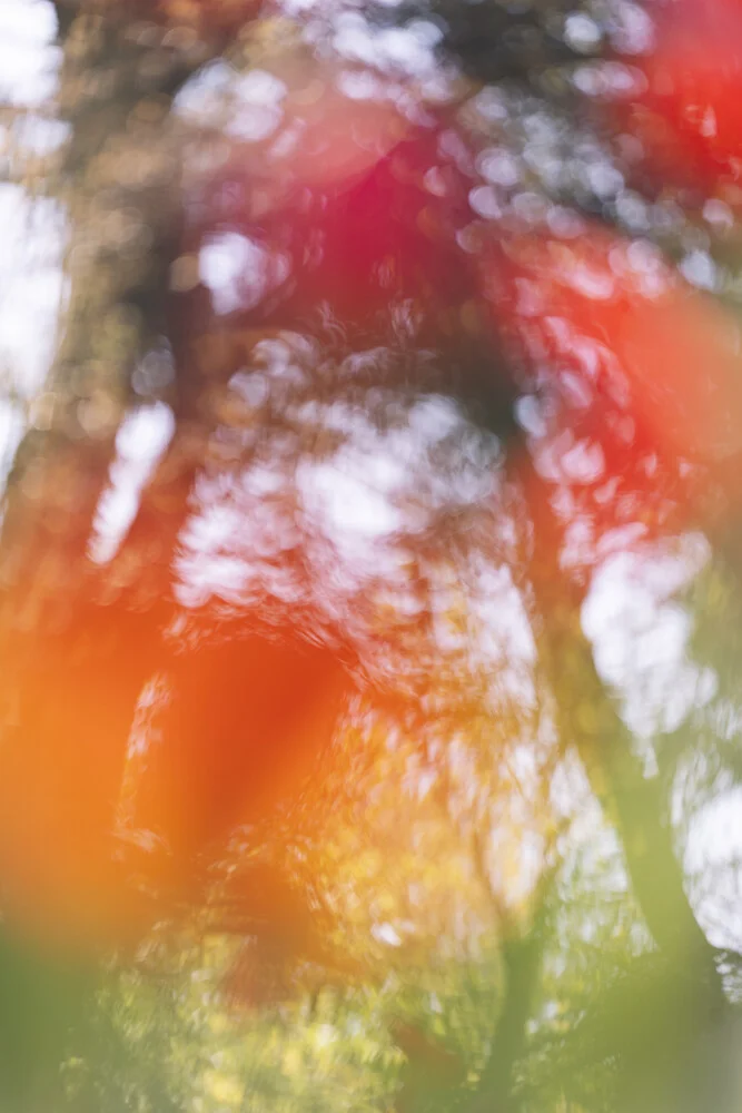 Unscharfes Farbenspiel mit Tulpen, Deutschland – Fotokunst von Nadja Jacke als Poster oder Acrylglasbild