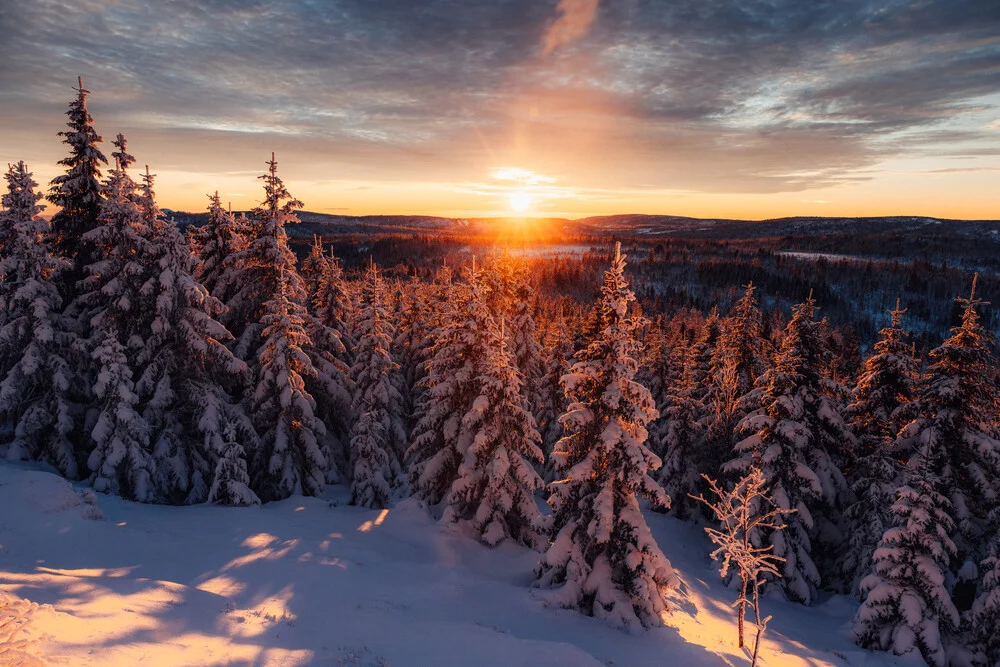 Dreamy Winter, Germany – wall art by Maximilian Fischer as Poster or Acrylic Glass Print