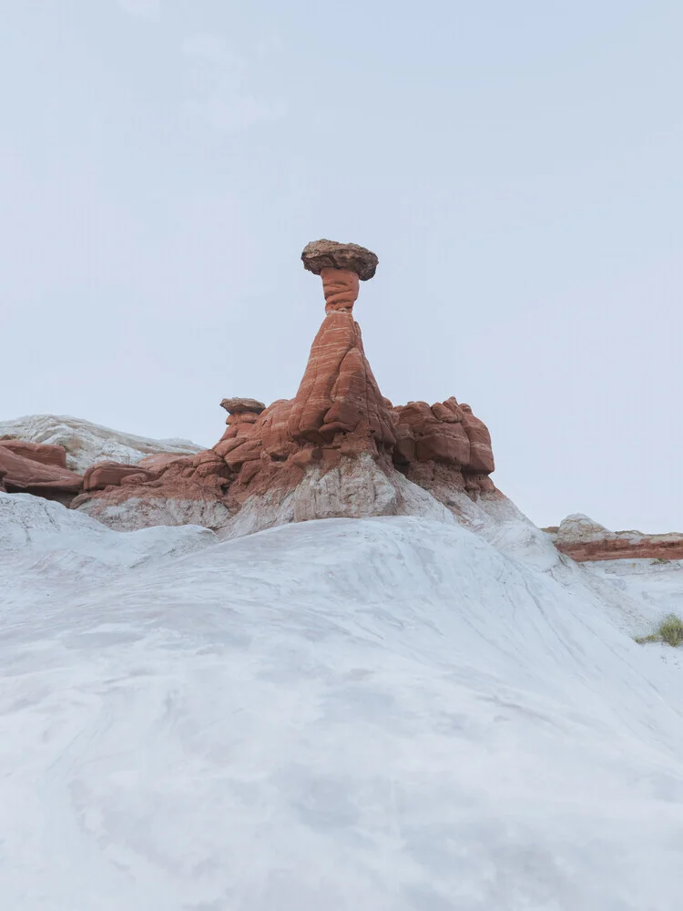 Toadstool Hoodoos, Utah, Vereinigte Staaten – Fotokunst von Reiner Hofer als Poster oder Acrylglasbild