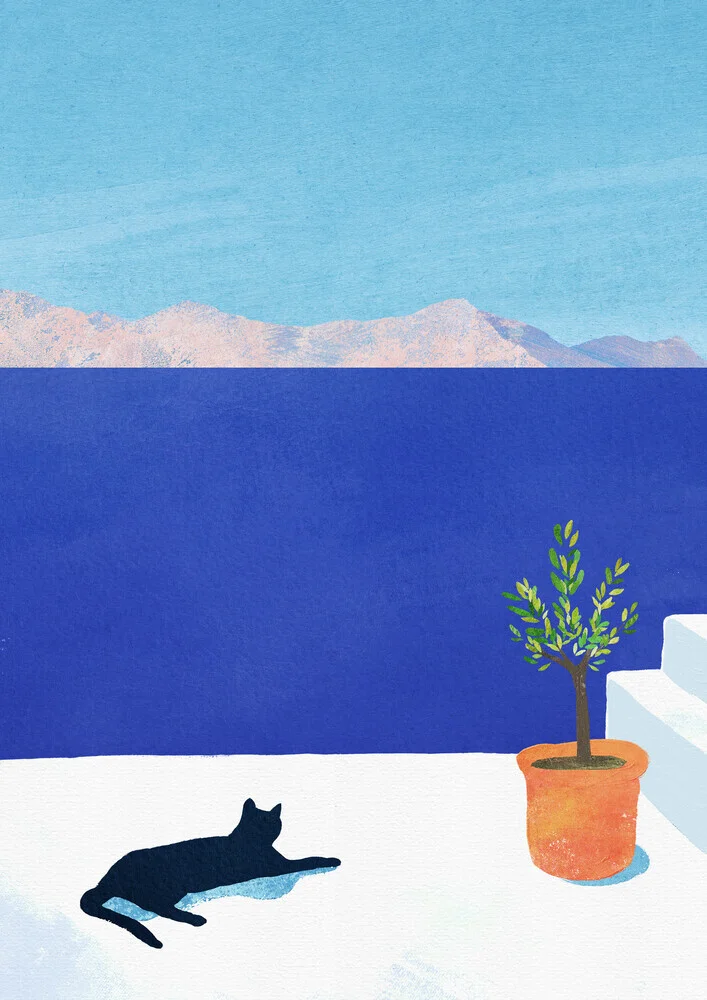 'Cat Siesta' – Wall Art by Henry Rivers as Poster or Acrylic Glass Print