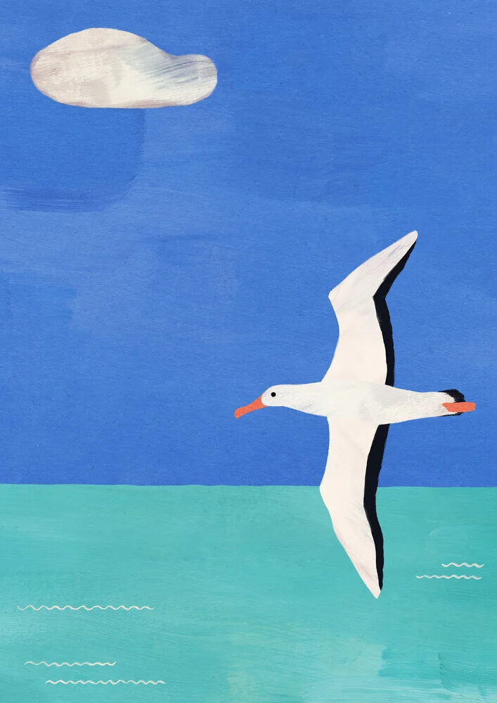'Albatross' – Wall Art by Henry Rivers as Poster or Acrylic Glass Print