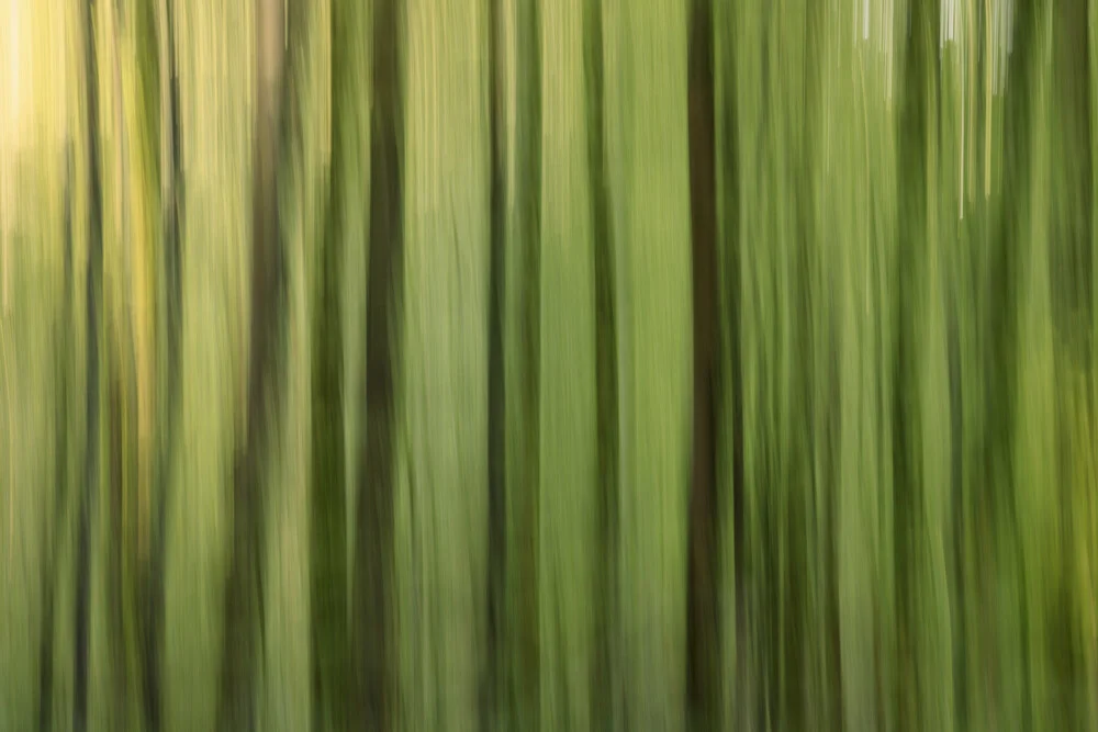 Vertical Green, Germany – wall art by Nadja Jacke as Poster or Acrylic Glass Print
