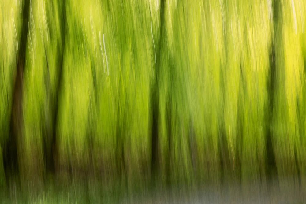Frühlingswald in Bewegung, Deutschland – Fotokunst von Nadja Jacke als Poster oder Acrylglasbild