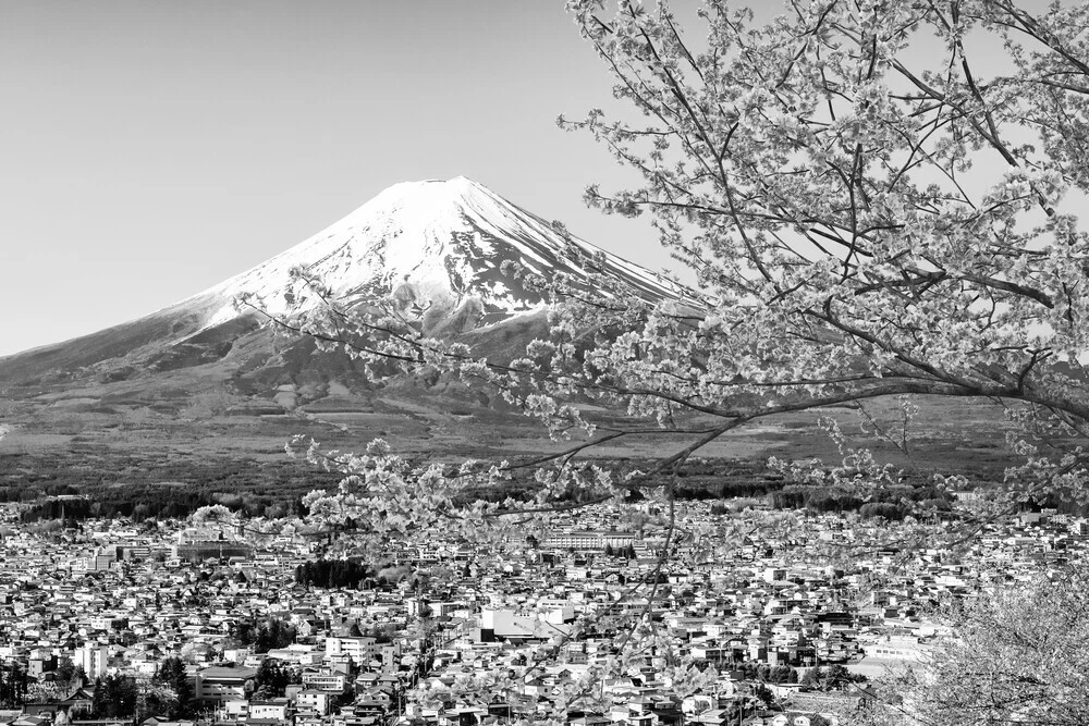 Melanie Viola, Malerischer Blick zum Fuji zur Kirschblüte in monochrom - Japan, Asien