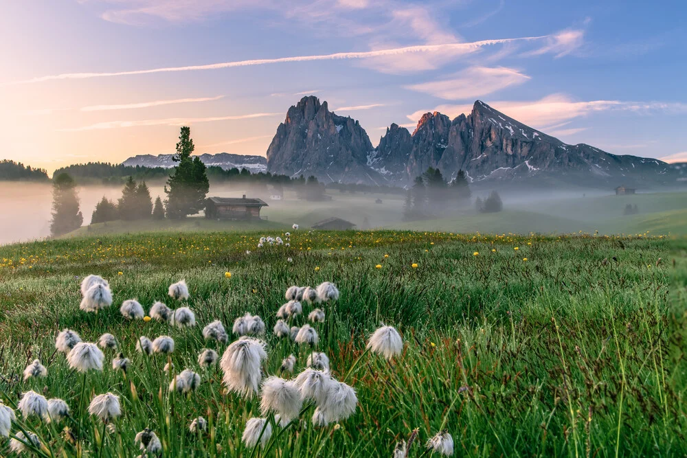 Achim Thomae, Sonnenaufgang auf der Seiser Alm in Südtirol - Italien, Europa