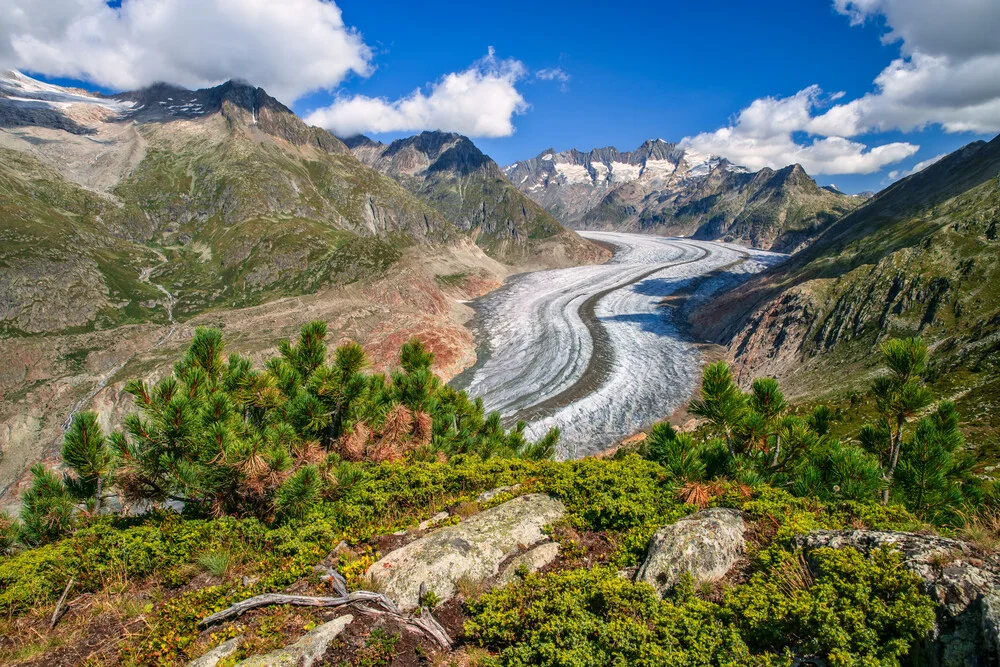 Photo art by Achim Thomae: Aletsch Glacier in the summer alpine landscape