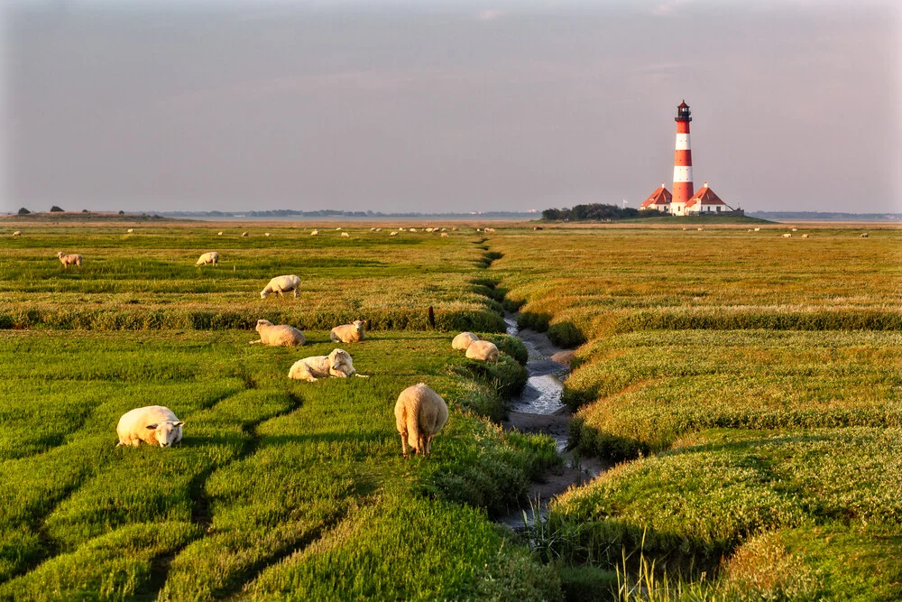 Achim Thomae, Leuchtturm Westerheversand - Deutschland, Europa