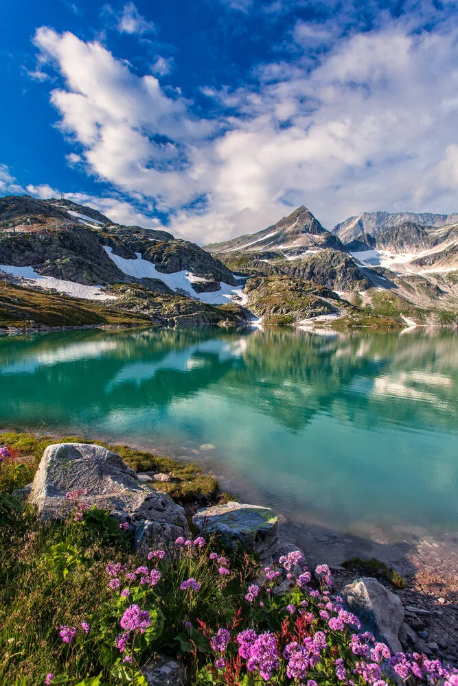 Photo art by Achim Thomae: summer landscape in the Austrian Alps with blooming mountain flowers.