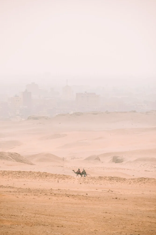 Photo art by Lotte Wildiers: Camel in desert sand with soft colors and tranquil mood