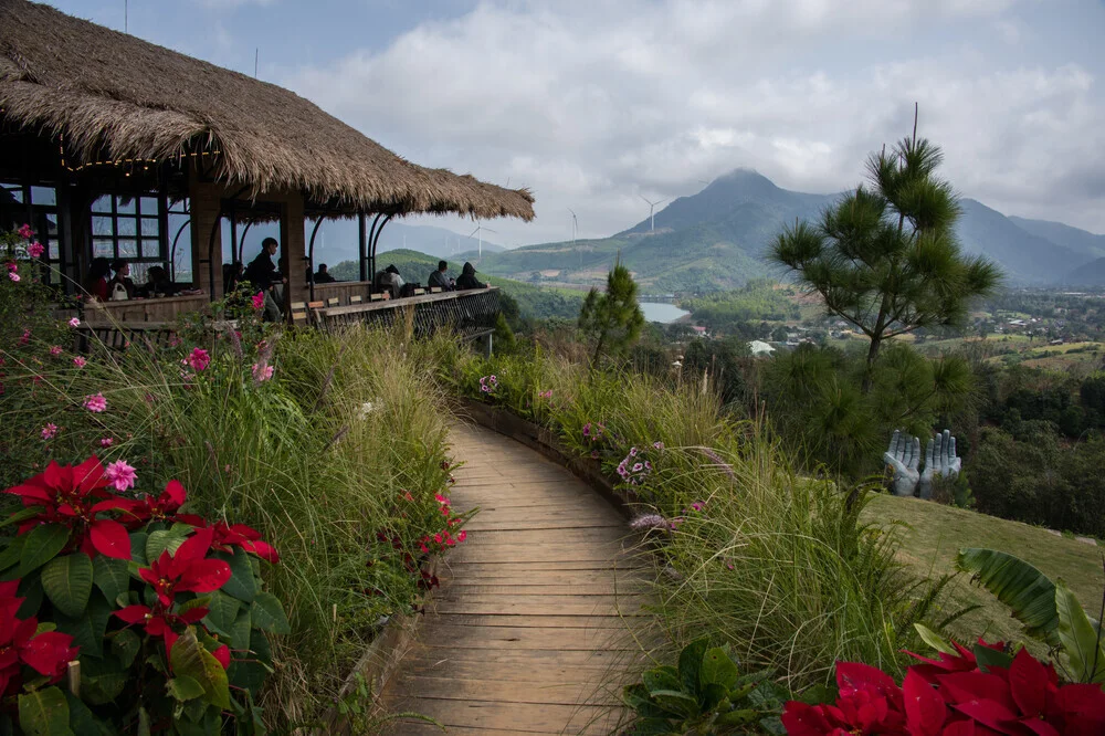 Photo art by Thomas Junklewitz: blooming roses on a farm in Vietnam.