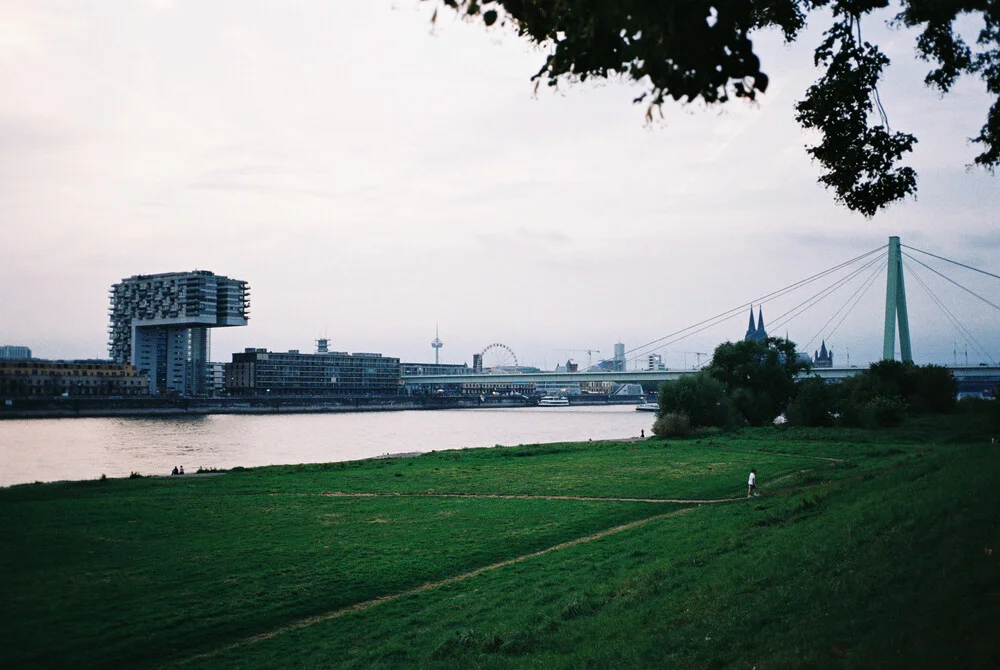 Fotokunst von Ben Hammer: analoge Aufnahme der Pollerwiesen in Köln.