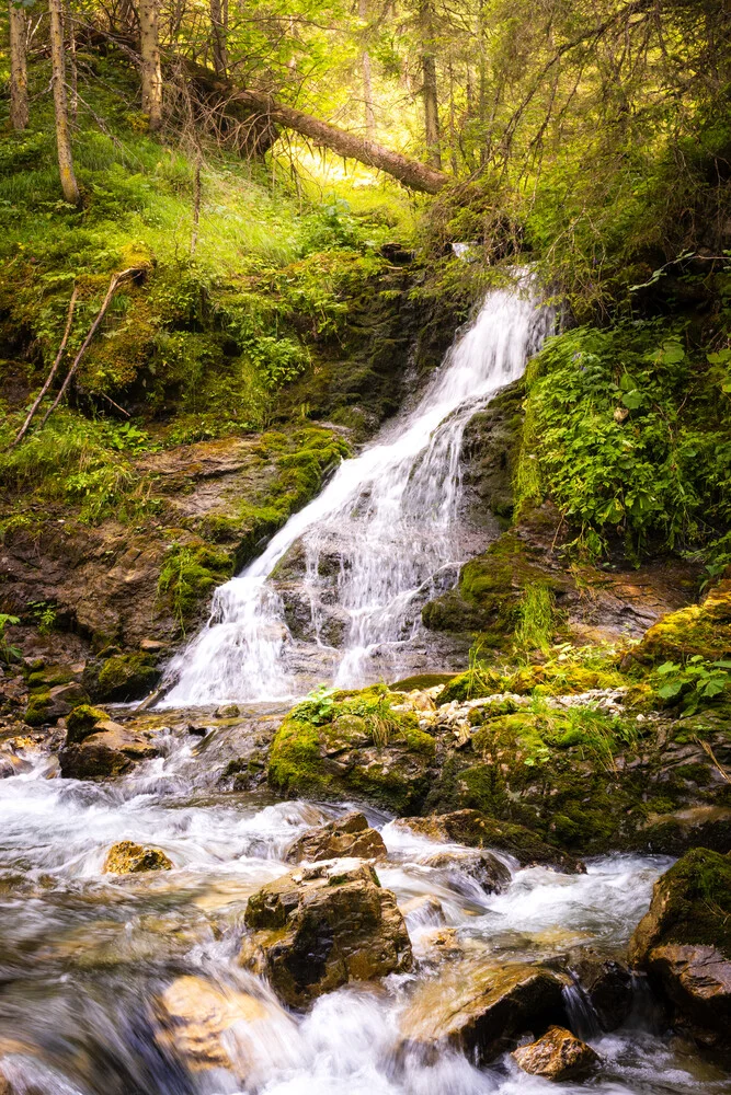 Friedlicher Wasserfall in den österreichischen Alpen, umgeben von Bäumen und Natur.