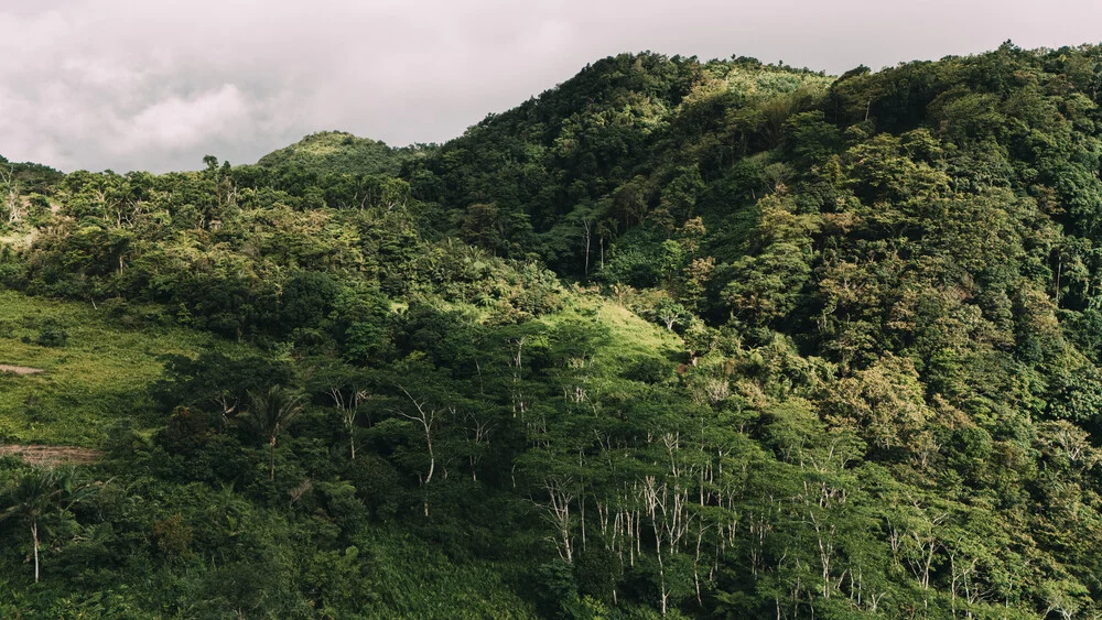 Photo art: Sun rays filtering through the jungle in Camiguin, Philippines