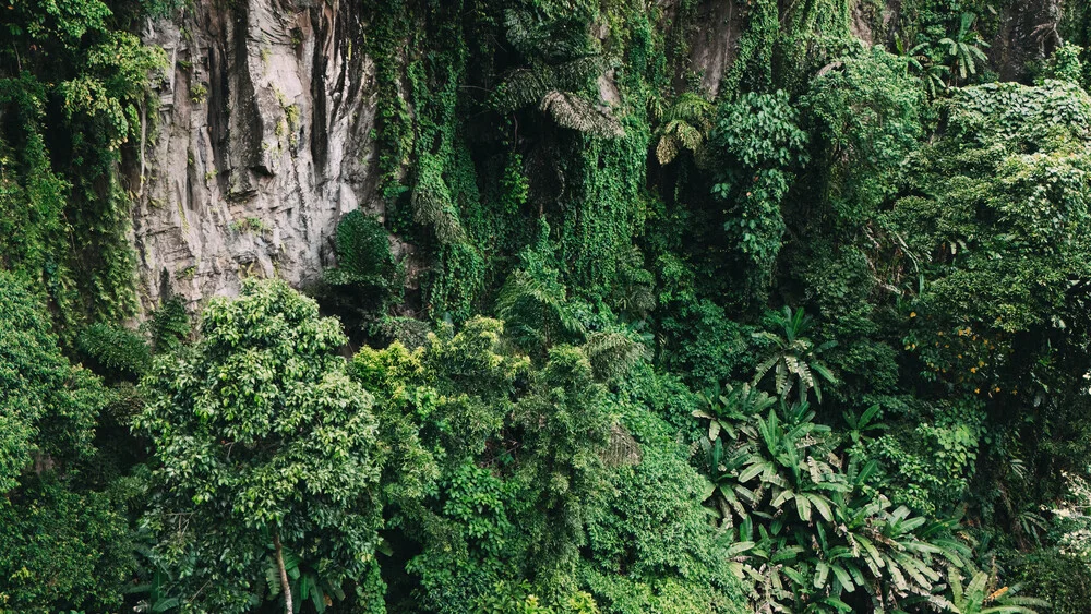 Photo art by Christian Seidenberg: cliffs in the jungle landscape of Camiguin, Philippines