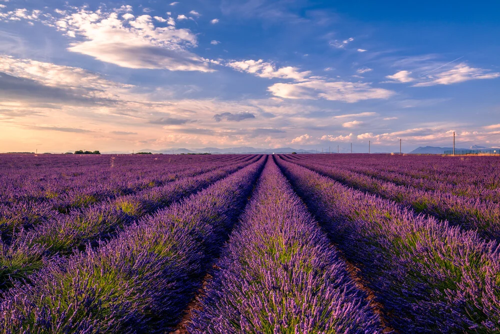 Photo art featuring a lavender field in southern France at sunset