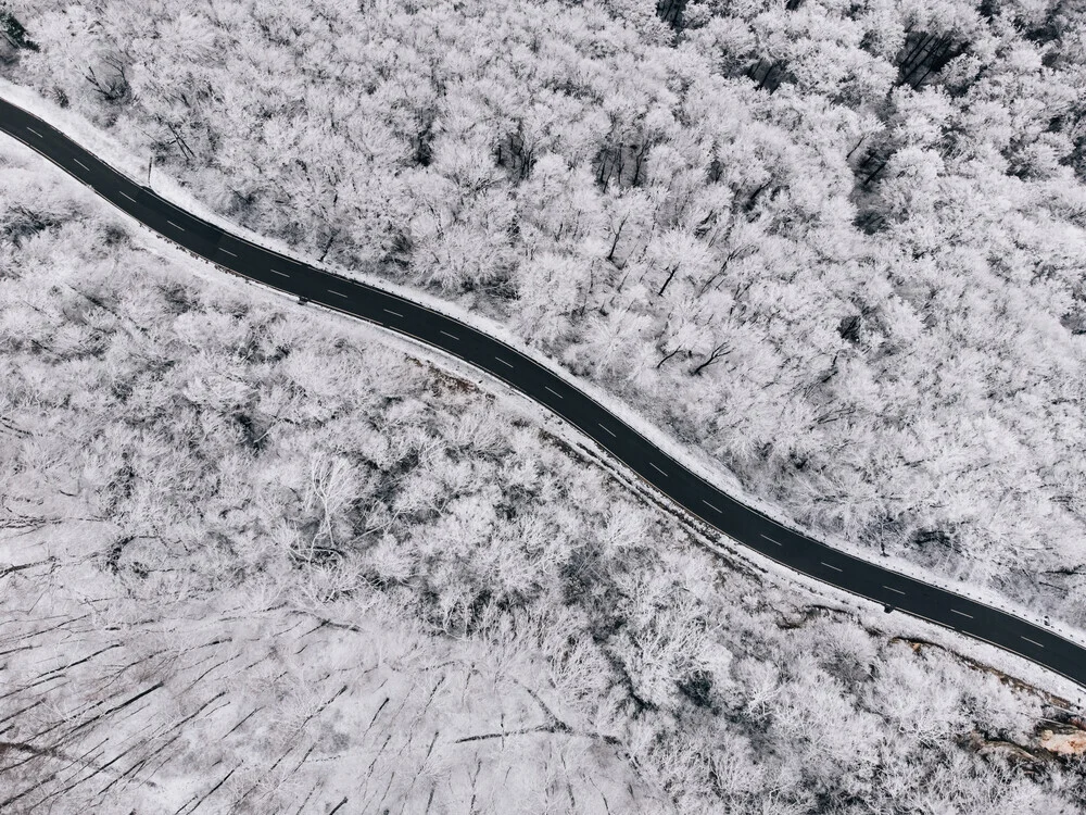 Fotokunst von Kerstin Maier: verschneiter Waldweg in kalter Winterstimmung
