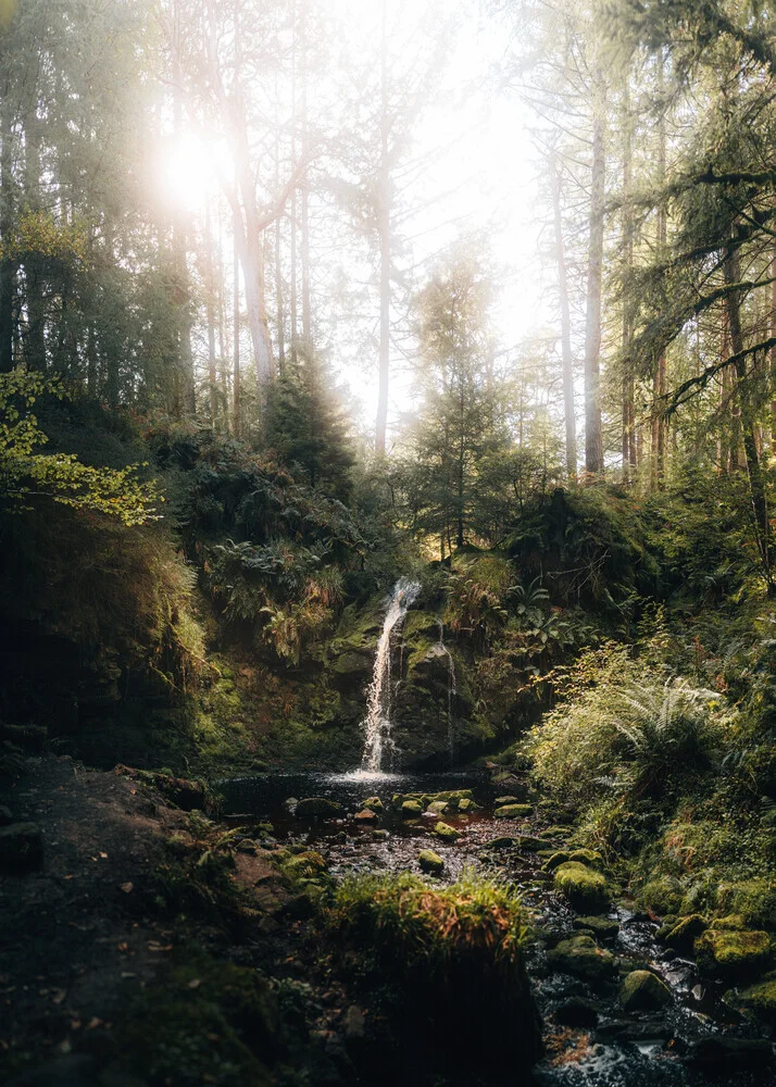 Wasserfall in einem verwunschenen Wald, sanftes Sonnenlicht durchbricht das Blätterdach.