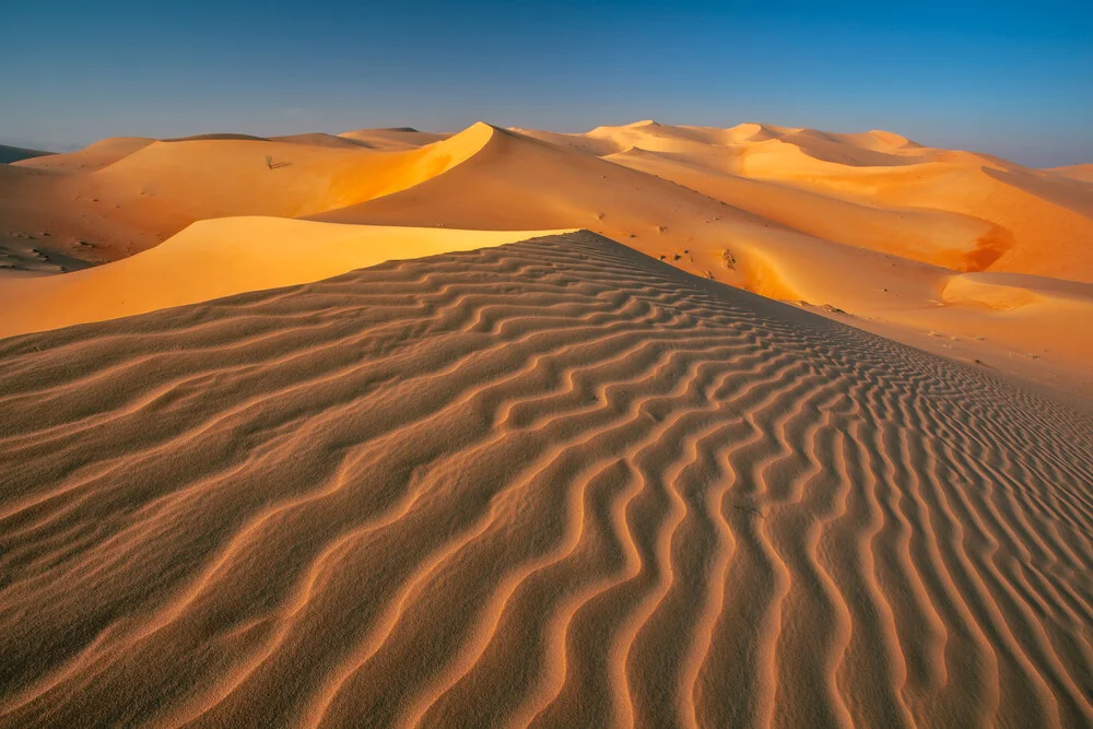 Photo art by Achim Thomae: Sand dunes in the Rub al Khali, soft colors and gentle shapes