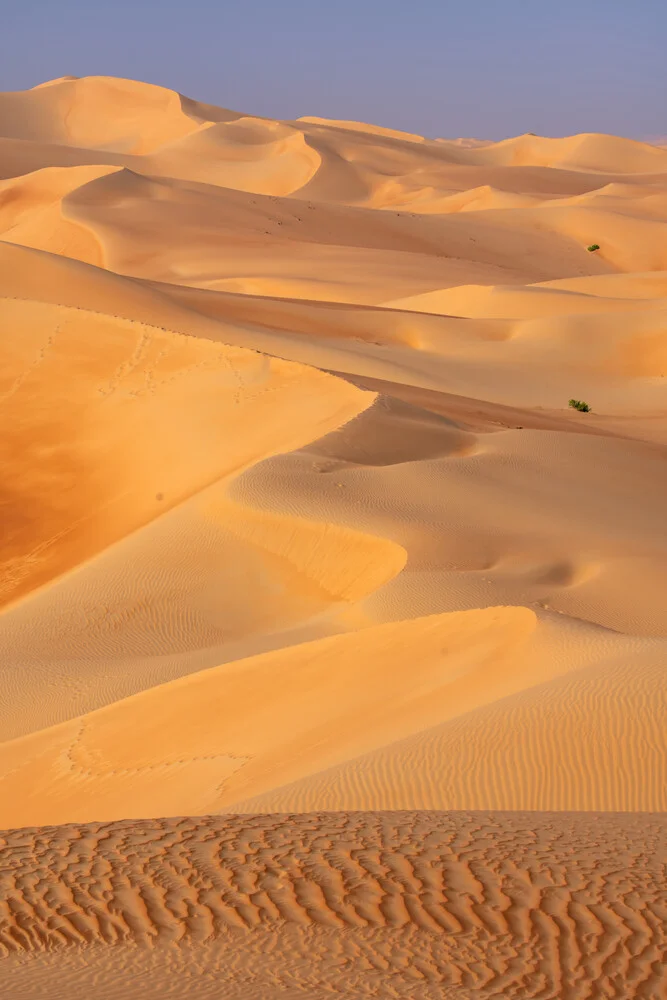 Photo art by Achim Thomae: gentle sand dunes at sunrise