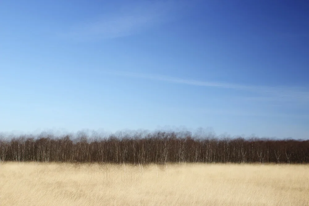 Stimmungsvolles Fotokunstwerk von Manuela Deigert: Moorlandschaft im Ewigen Meer Stimmungsvolles Fotokunstwerk von Manuela Deigert: Moorlandschaft im Ewigen Meer