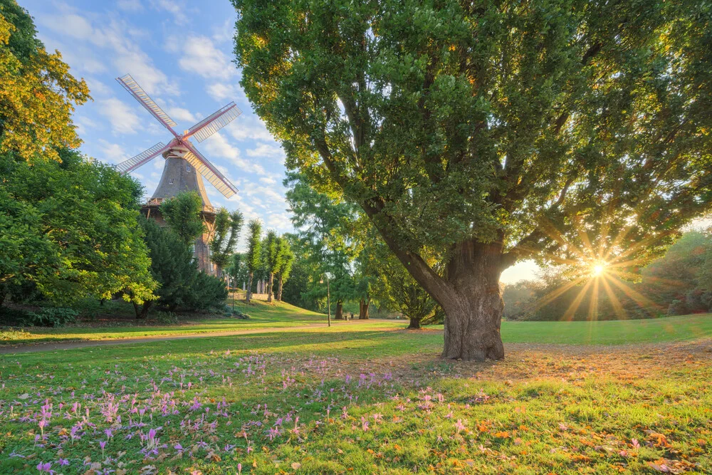 Photo art by Michael Valjak: Windmill in Bremen at sunrise, surrounded by grass and trees.