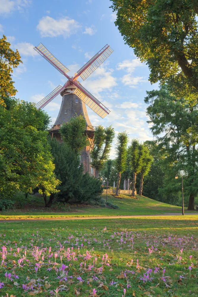 Photo art by Michael Valjak: Bremen windmill in the park at sunrise