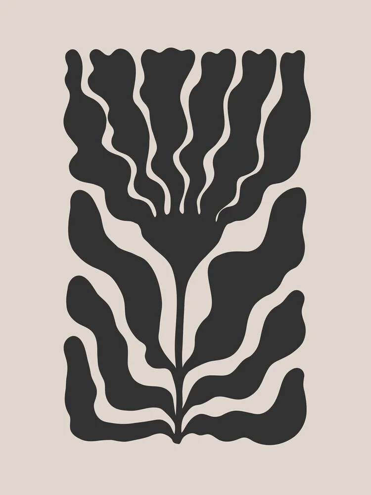 Illustration von Gal Pittel: florale Komposition in sanften Grautönen