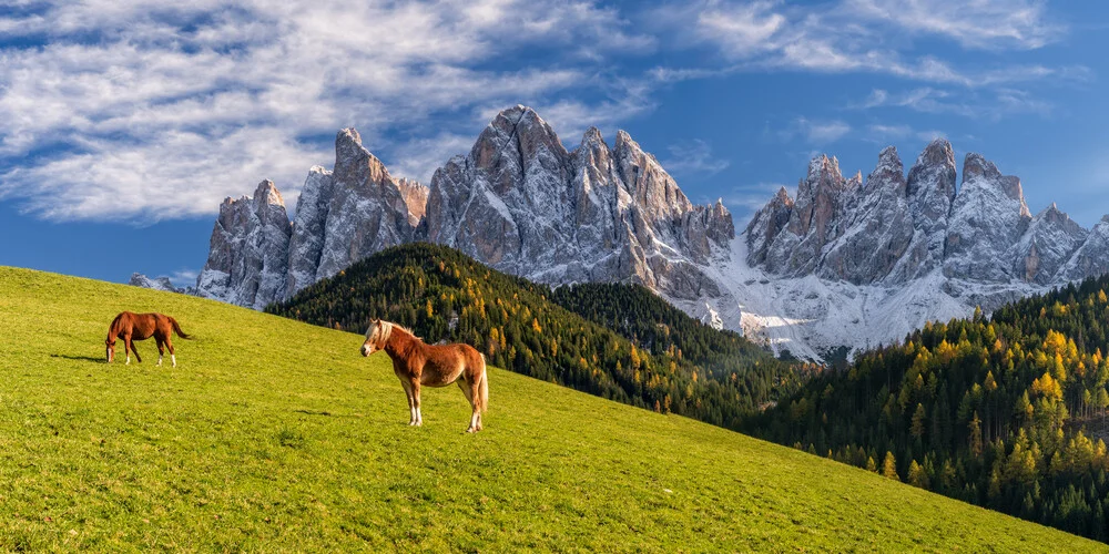 Fotokunst von Achim Thomae: Herbstlandschaft mit Lärchen und sanften Hügeln in Südtirol