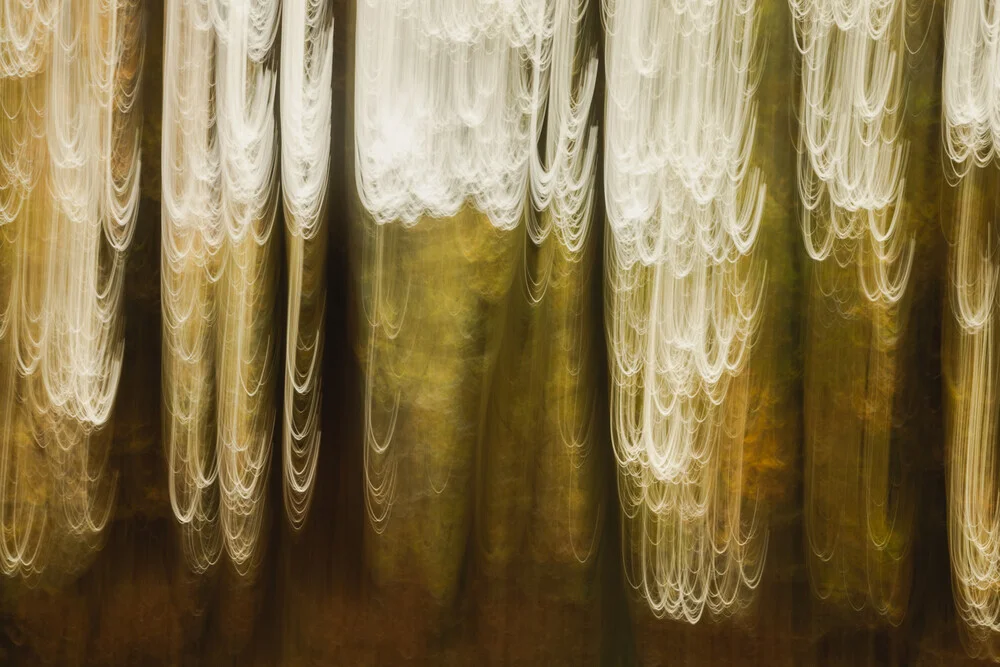 Fotokunst von Nadja Jacke: abstrakte Linien in Bewegung im Herbstwald