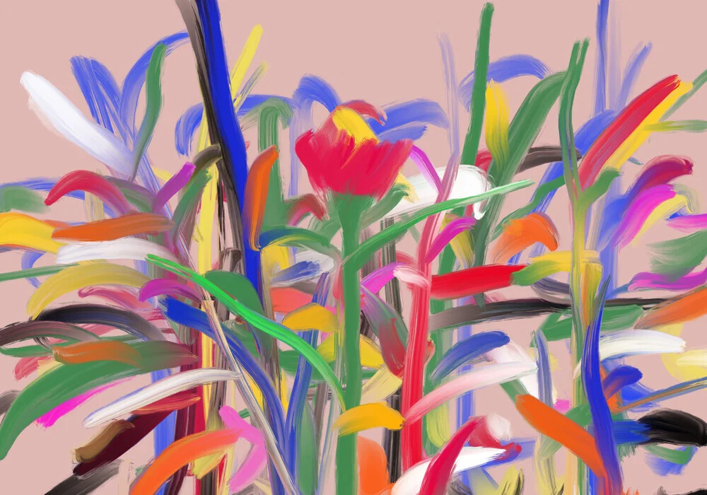 Photo art by Bellassai Cesare: vibrant flowers in a harmonious garden.