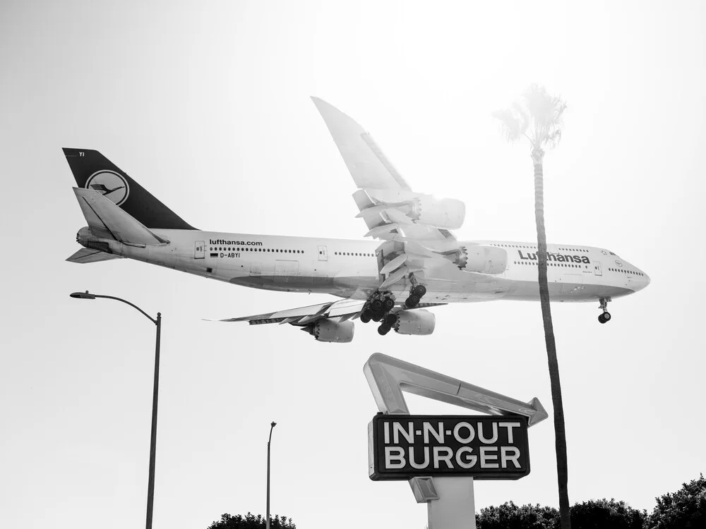 Photo art by Inflight Galerie: airplane landing over palm trees in Los Angeles.