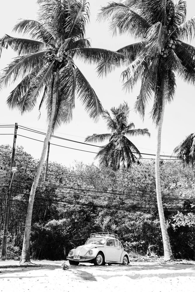 Wandbild von Inflight Galerie: VW Käfer am Strand unter Palmen in Thailand