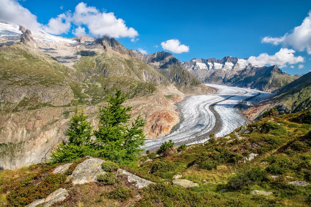 Photo art by Achim Thomae: Aletsch Glacier in a summer mountain landscape