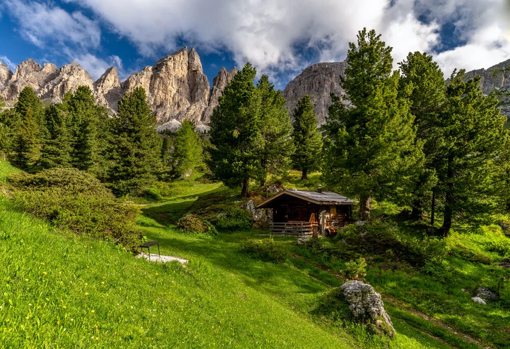 Photo art by Achim Thomae: serene alpine landscape with larches in summer
